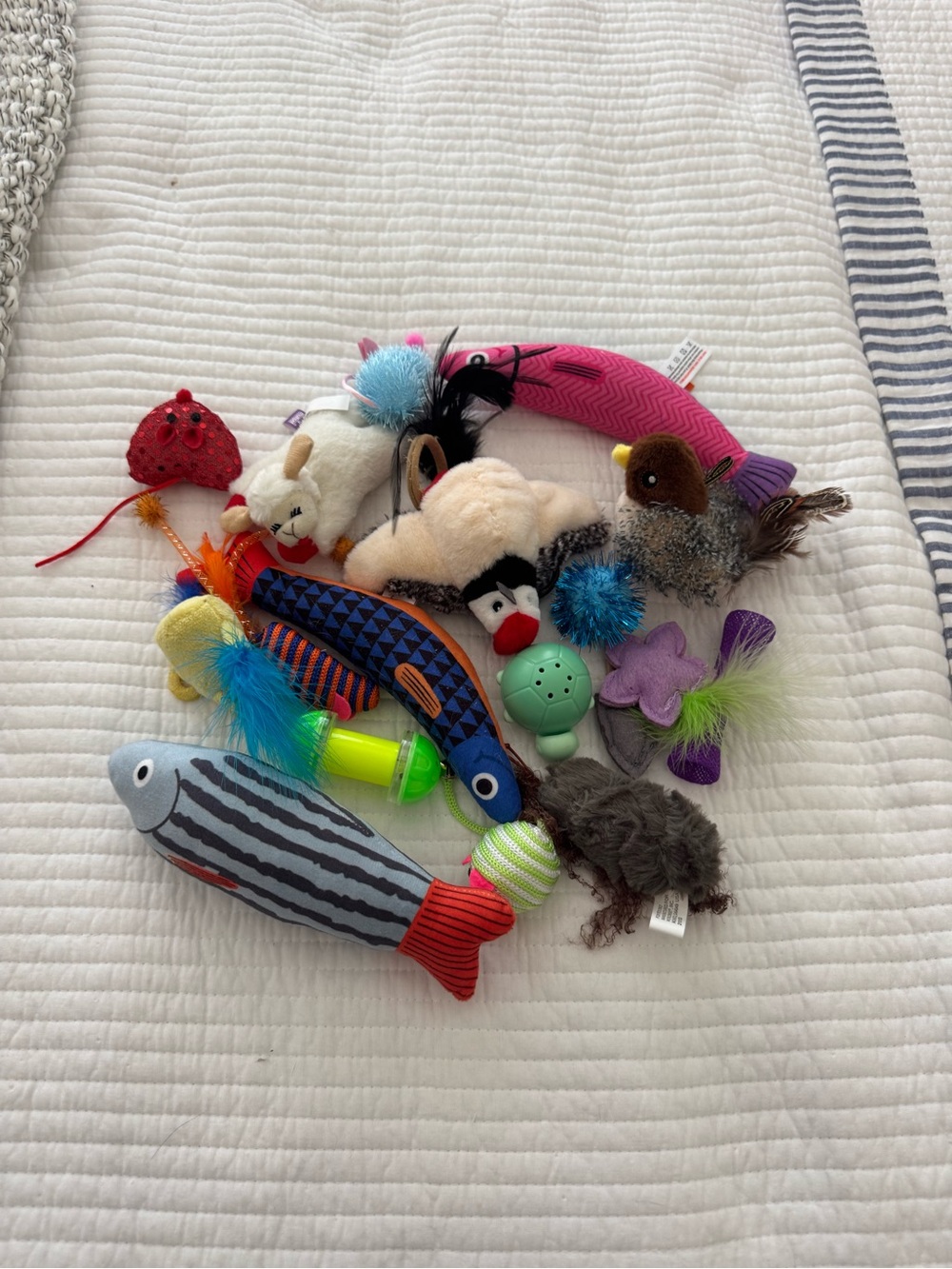 Bundle of cat toys! 18 pieces!